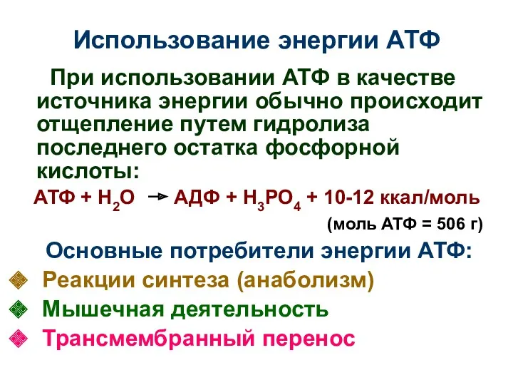 Использование энергии АТФ При использовании АТФ в качестве источника энергии