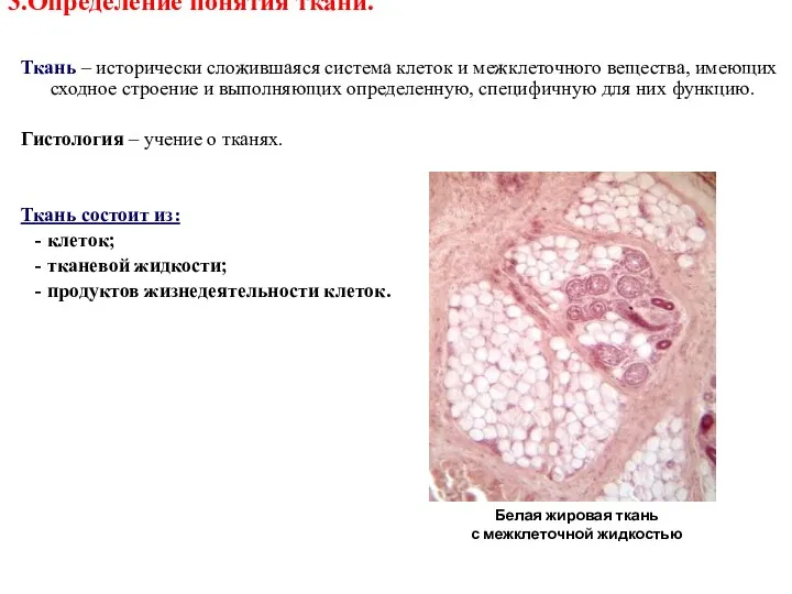 3.Определение понятия ткани. Ткань – исторически сложившаяся система клеток и