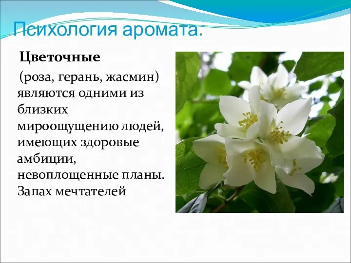 Психология аромата. Цветочные (роза, герань, жасмин) являются одними из близких