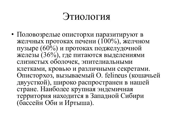 Этиология Половозрелые описторхи паразитируют в желчных протоках печени (100%), желчном