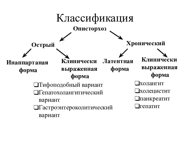 Классификация Описторхоз Острый Хронический Инаппартаная форма Клинически выраженная форма Латентная