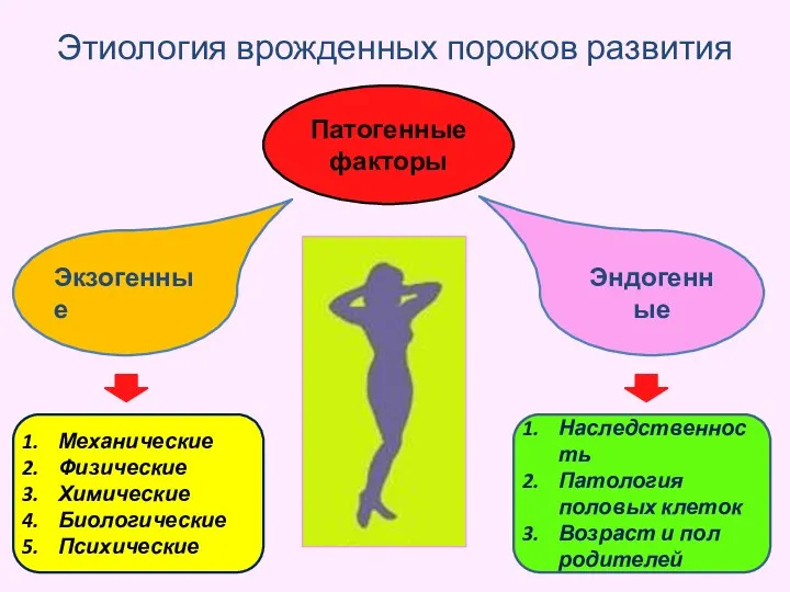 Этиология врожденных пороков развития Патогенные факторы Экзогенные Эндогенные Механические Физические