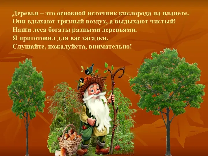 Деревья – это основной источник кислорода на планете. Они вдыхают грязный воздух, а