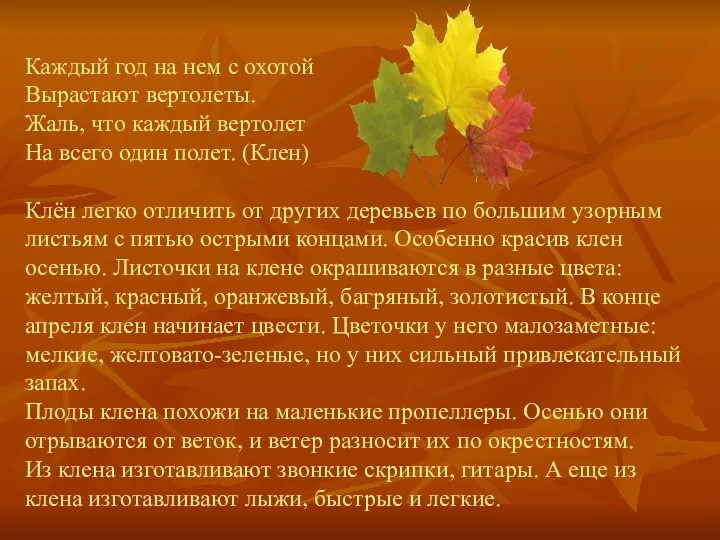 Каждый год на нем с охотой Вырастают вертолеты. Жаль, что каждый вертолет На