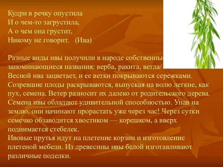 Кудри в речку опустила И о чем-то загрустила, А о чем она грустит,