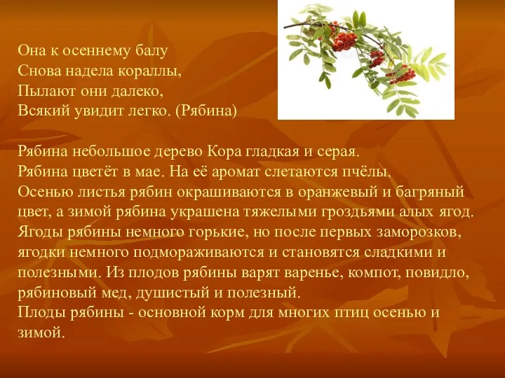 Она к осеннему балу Снова надела кораллы, Пылают они далеко, Всякий увидит легко.