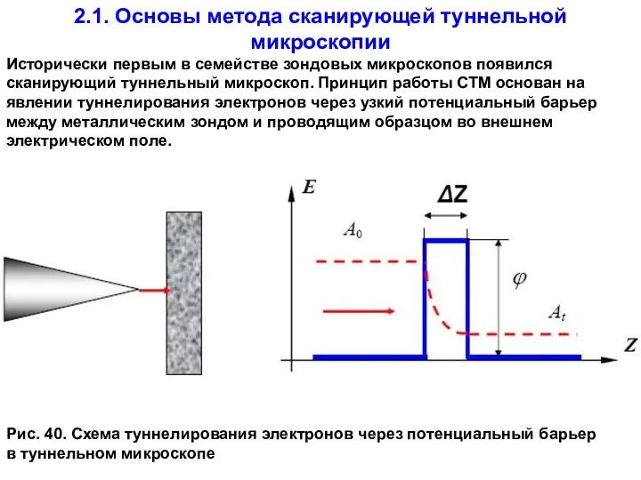 2.1. Основы метода сканирующей туннельной микроскопии Исторически первым в семействе