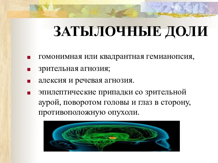 ЗАТЫЛОЧНЫЕ ДОЛИ гомонимная или квадрантная гемианопсия, зрительная агнозия; алексия и