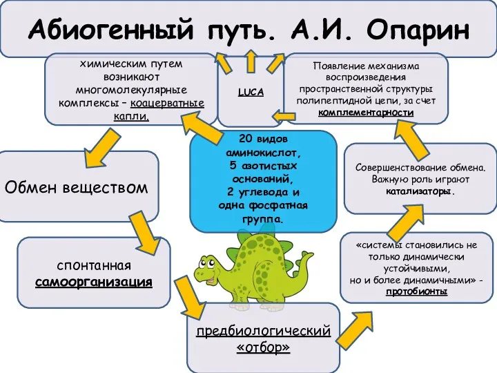 Абиогенный путь. А.И. Опарин 20 видов аминокислот, 5 азотистых оснований, 2 углевода и