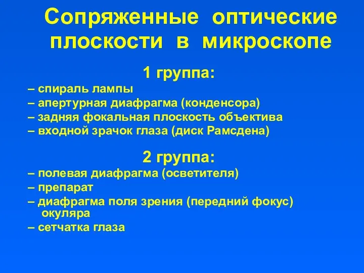 Сопряженные оптические плоскости в микроскопе 1 группа: – спираль лампы