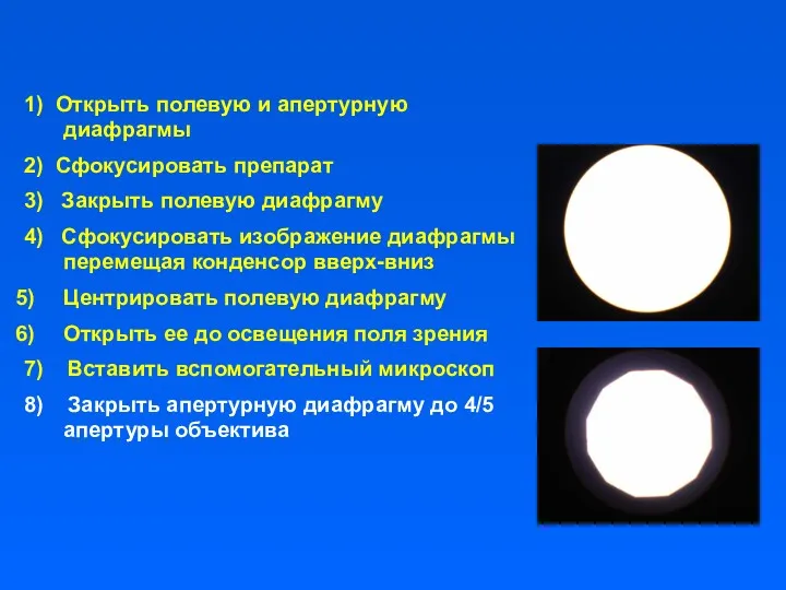 1) Открыть полевую и апертурную диафрагмы 2) Сфокусировать препарат 3)