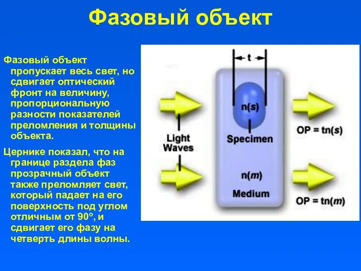 Фазовый объект Фазовый объект пропускает весь свет, но сдвигает оптический