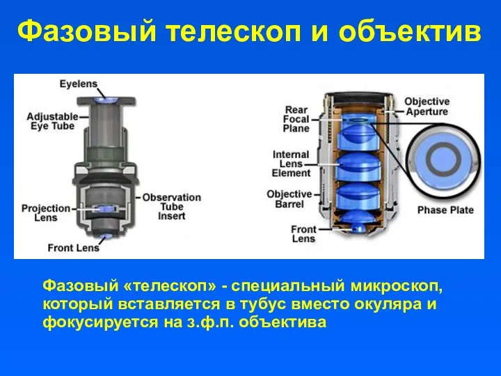 Фазовый телескоп и объектив Фазовый «телескоп» - специальный микроскоп, который