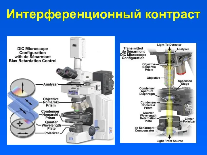 Интерференционный контраст