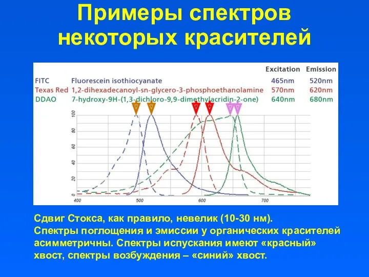 Примеры спектров некоторых красителей Сдвиг Стокса, как правило, невелик (10-30