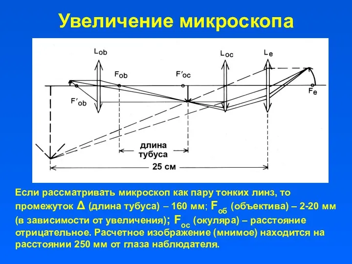 Увеличение микроскопа Если рассматривать микроскоп как пару тонких линз, то