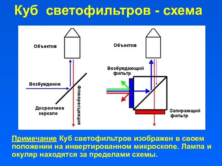 Куб светофильтров - схема Примечание Куб светофильтров изображен в своем