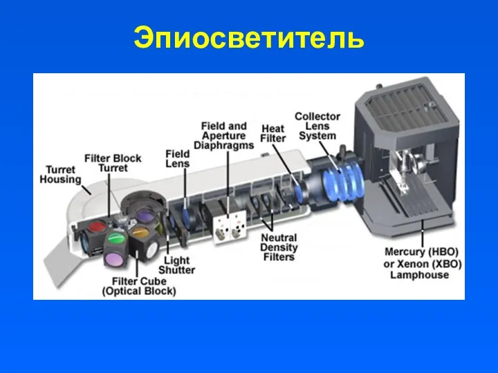 Эпиосветитель