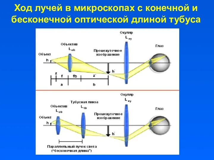 Ход лучей в микроскопах с конечной и бесконечной оптической длиной тубуса