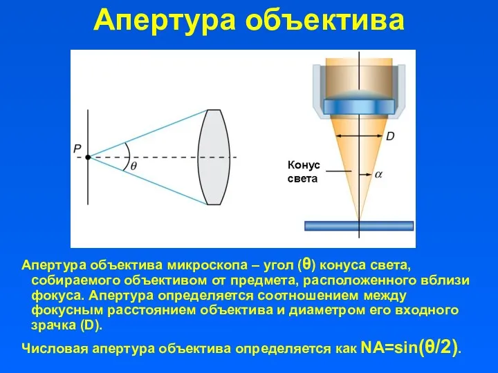 Апертура объектива Апертура объектива микроскопа – угол (θ) конуса света,