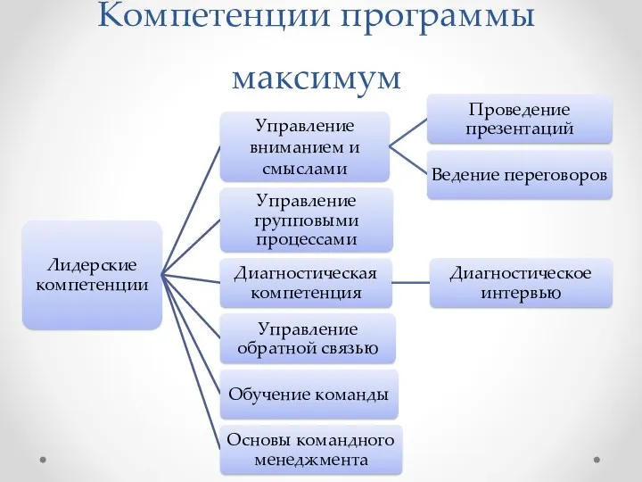 Компетенции программы максимум