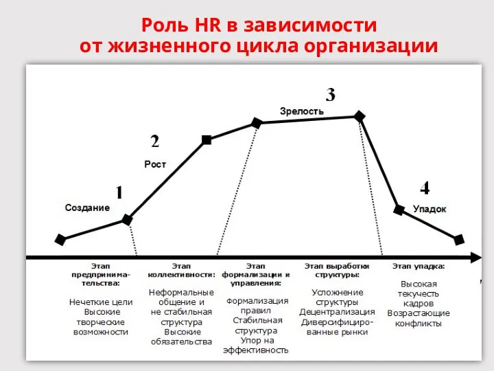 Роль HR в зависимости от жизненного цикла организации