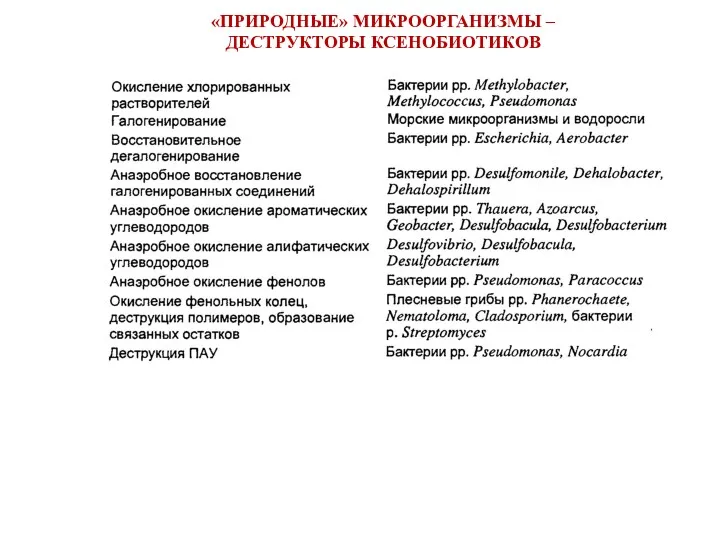 «ПРИРОДНЫЕ» МИКРООРГАНИЗМЫ – ДЕСТРУКТОРЫ КСЕНОБИОТИКОВ