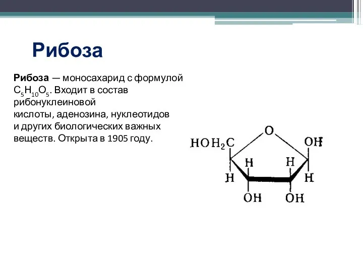 Рибоза Рибоза — моносахарид с формулой С5Н10О5. Входит в состав