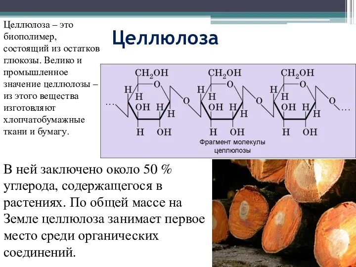 Целлюлоза В ней заключено около 50 % углерода, содержащегося в