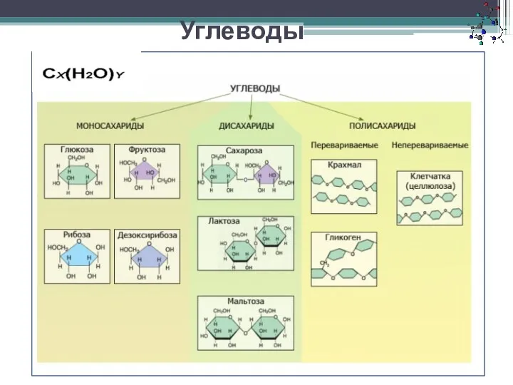 Углеводы