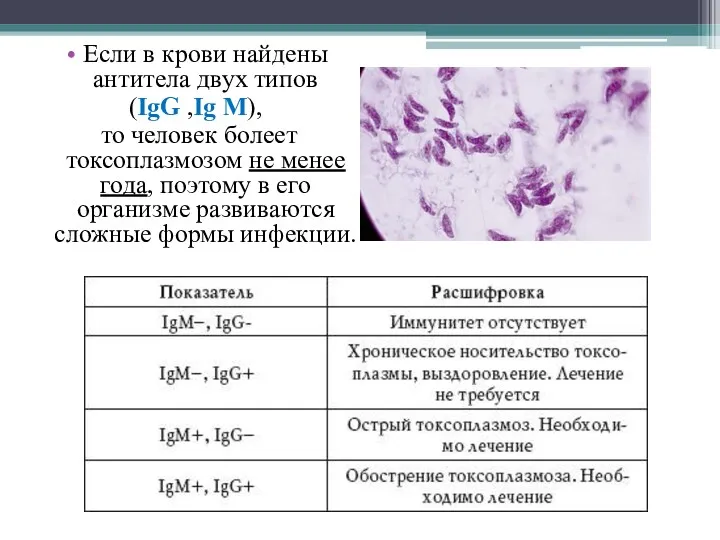 Если в крови найдены антитела двух типов (IgG ,Ig M),