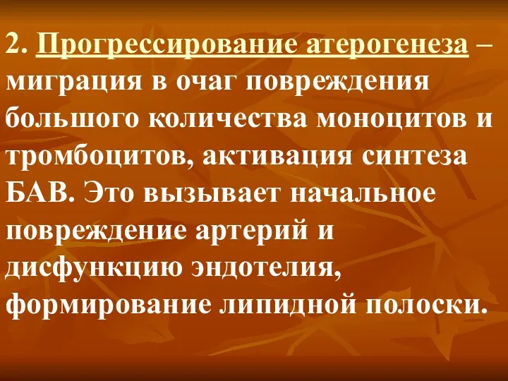 2. Прогрессирование атерогенеза – миграция в очаг повреждения большого количества