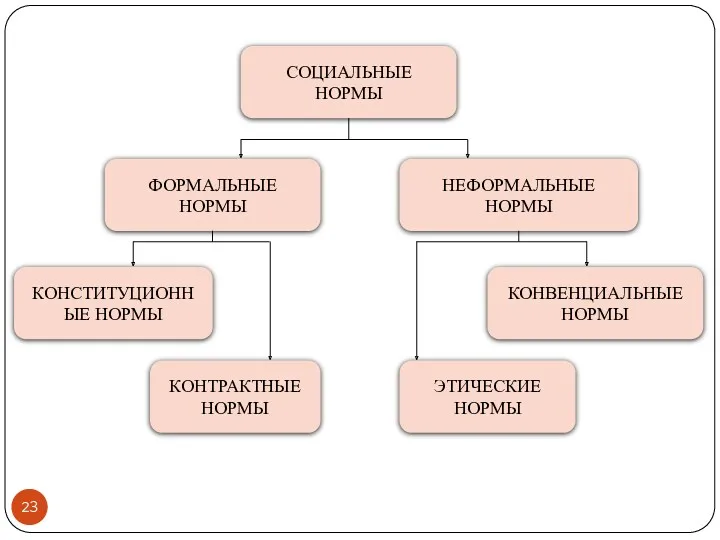 СОЦИАЛЬНЫЕ НОРМЫ ФОРМАЛЬНЫЕ НОРМЫ НЕФОРМАЛЬНЫЕ НОРМЫ КОНСТИТУЦИОННЫЕ НОРМЫ КОНТРАКТНЫЕ НОРМЫ КОНВЕНЦИАЛЬНЫЕ НОРМЫ ЭТИЧЕСКИЕ НОРМЫ