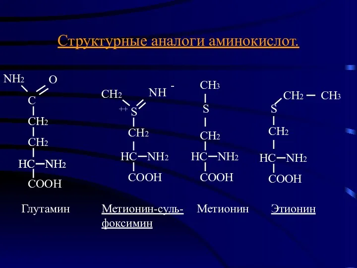 Структурные аналоги аминокислот. Глутамин Метионин-суль- фоксимин Метионин Этионин