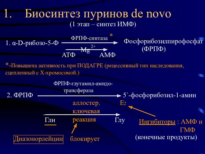 1. Биосинтез пуринов de novo (1 этап – синтез ИМФ)