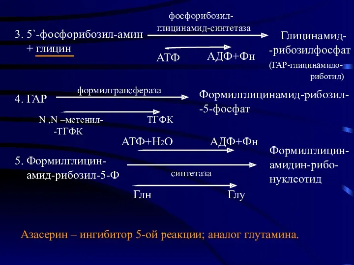 3. 5`-фосфорибозил-амин + глицин фосфорибозил- глицинамид-синтетаза Глицинамид- -рибозилфосфат (ГАР-глицинамидо- риботид)