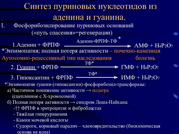 Синтез пуриновых нуклеотидов из аденина и гуанина. Фосфорибозилирование пуриновых оснований