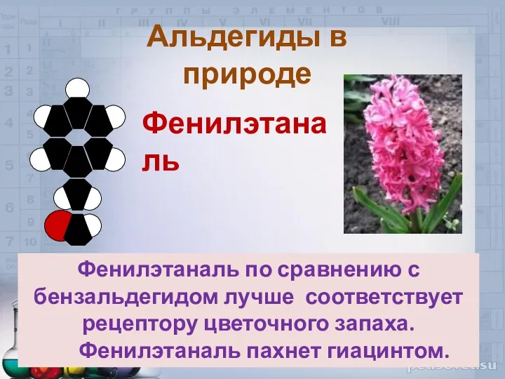 Фенилэтаналь Фенилэтаналь по сравнению с бензальдегидом лучше соответствует рецептору цветочного