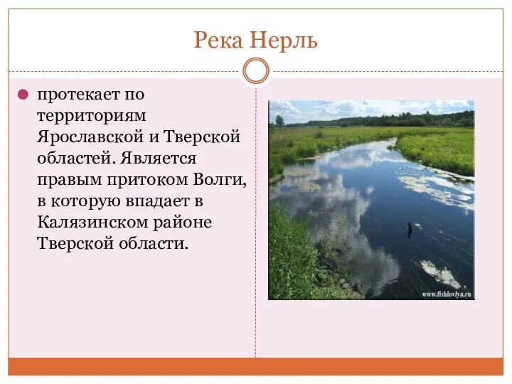 Река Нерль протекает по территориям Ярославской и Тверской областей. Является правым притоком Волги,