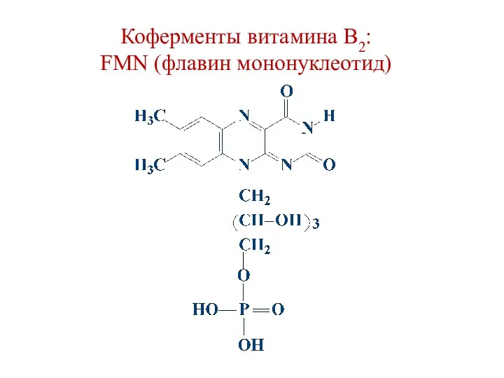Коферменты витамина В2: FMN (флавин мононуклеотид)