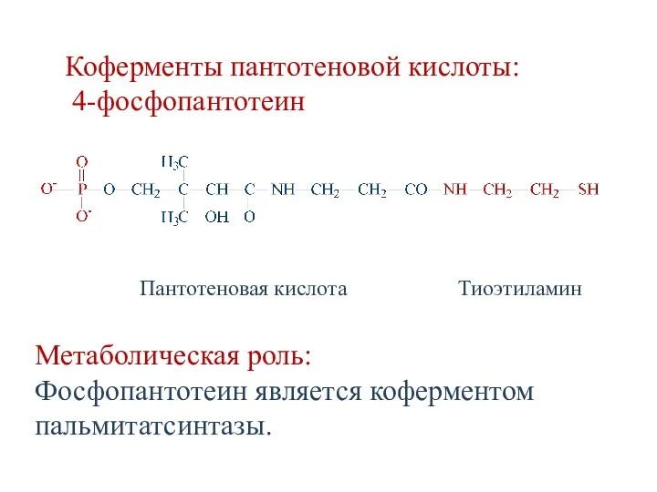 Коферменты пантотеновой кислоты: 4-фосфопантотеин Метаболическая роль: Фосфопантотеин является коферментом пальмитатсинтазы. Пантотеновая кислота Тиоэтиламин