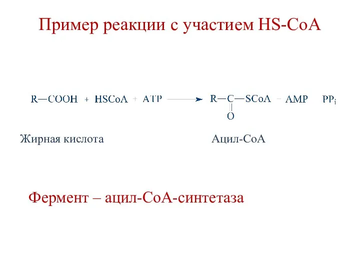 Пример реакции с участием HS-CoA Фермент – ацил-СоА-синтетаза Жирная кислота Ацил-СоА