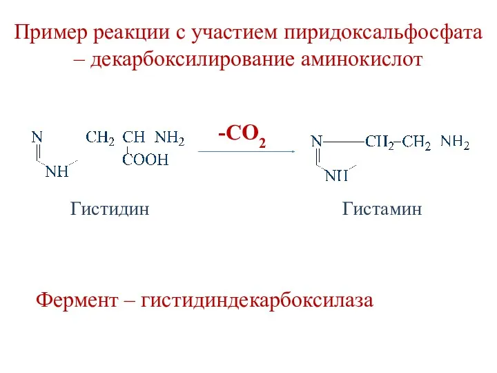 Пример реакции с участием пиридоксальфосфата – декарбоксилирование аминокислот Гистидин Гистамин -СО2 Фермент – гистидиндекарбоксилаза