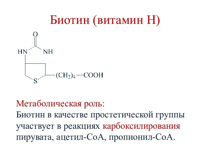 Биотин (витамин Н) Метаболическая роль: Биотин в качестве простетической группы участвует в реакциях