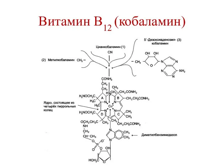 Витамин В12 (кобаламин)