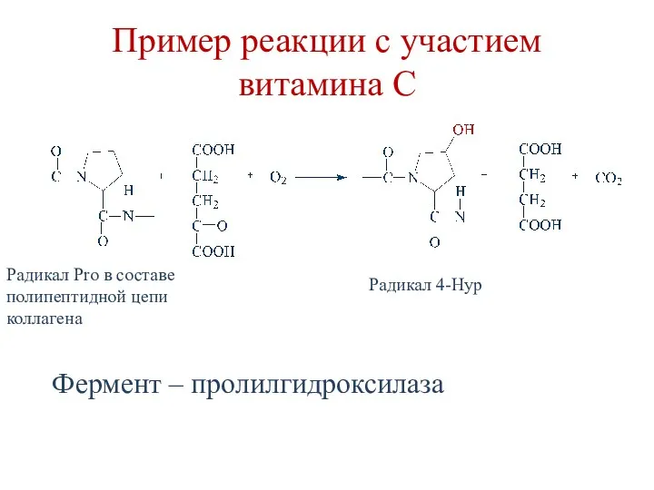 Пример реакции с участием витамина С Радикал Pro в составе полипептидной цепи коллагена