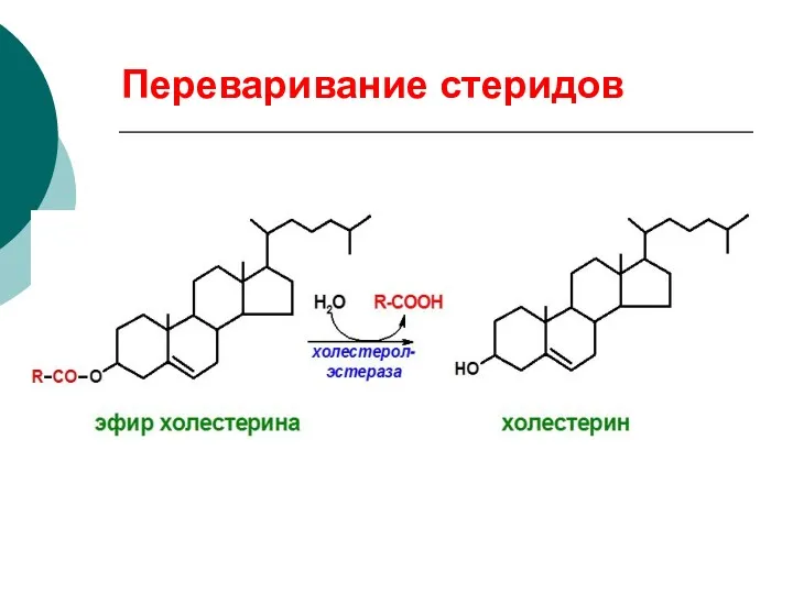 Переваривание стеридов