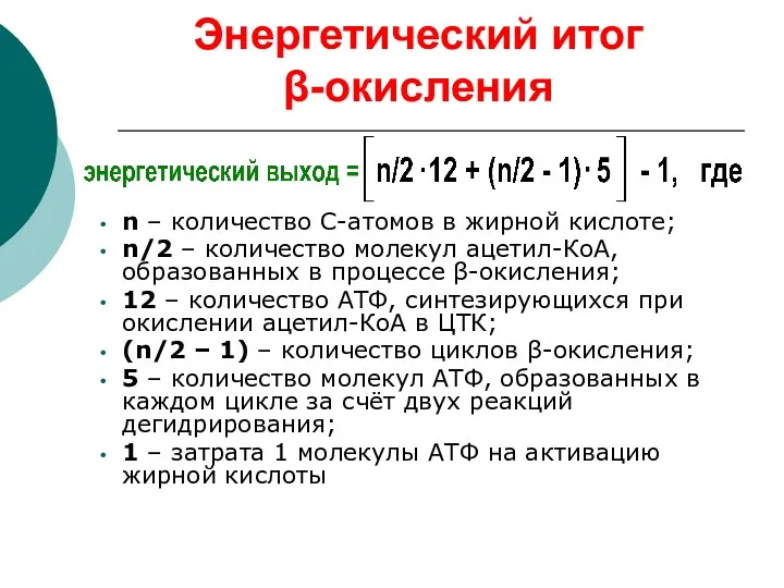 Энергетический итог β-окисления n – количество С-атомов в жирной кислоте;