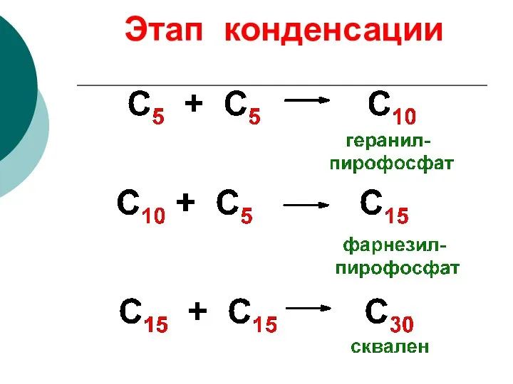 Этап конденсации