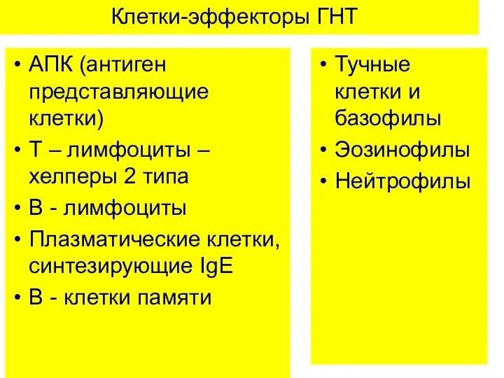 Клетки-эффекторы ГНТ АПК (антиген представляющие клетки) Т – лимфоциты –